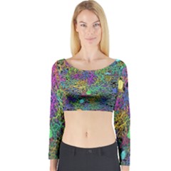 Starbursts Biploar Spring Colors Nature Long Sleeve Crop Top by BangZart