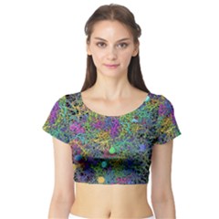 Starbursts Biploar Spring Colors Nature Short Sleeve Crop Top (tight Fit) by BangZart