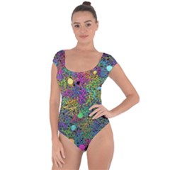 Starbursts Biploar Spring Colors Nature Short Sleeve Leotard  by BangZart