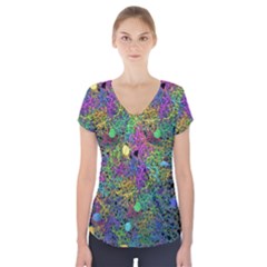 Starbursts Biploar Spring Colors Nature Short Sleeve Front Detail Top by BangZart