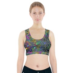 Starbursts Biploar Spring Colors Nature Sports Bra With Pocket by BangZart