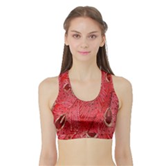 Red Peacock Floral Embroidered Long Qipao Traditional Chinese Cheongsam Mandarin Sports Bra With Border by BangZart