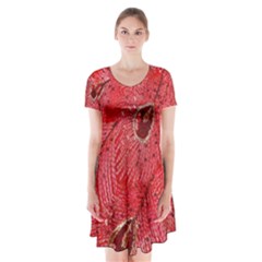 Red Peacock Floral Embroidered Long Qipao Traditional Chinese Cheongsam Mandarin Short Sleeve V-neck Flare Dress by BangZart