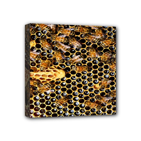 Queen Cup Honeycomb Honey Bee Mini Canvas 4  X 4  by BangZart