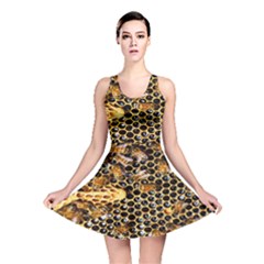 Queen Cup Honeycomb Honey Bee Reversible Skater Dress by BangZart