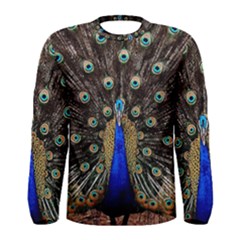 Peacock Men s Long Sleeve Tee by BangZart