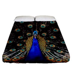 Peacock Fitted Sheet (queen Size) by BangZart