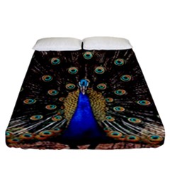 Peacock Fitted Sheet (california King Size) by BangZart