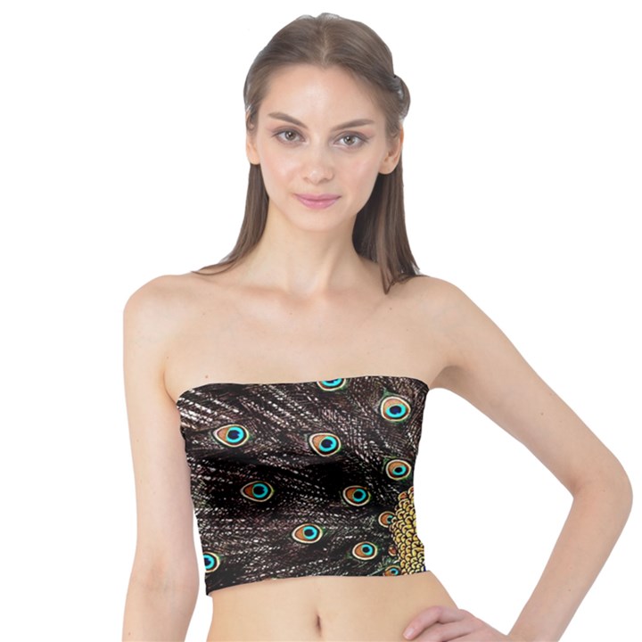 Peacock Tube Top