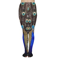 Peacock Women s Tights by BangZart