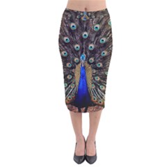 Peacock Velvet Midi Pencil Skirt by BangZart