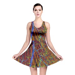 Neurobiology Reversible Skater Dress by BangZart