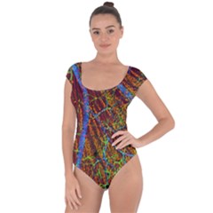 Neurobiology Short Sleeve Leotard  by BangZart