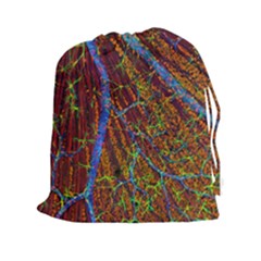 Neurobiology Drawstring Pouches (xxl) by BangZart