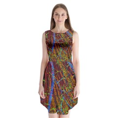 Neurobiology Sleeveless Chiffon Dress   by BangZart