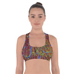 Neurobiology Cross Back Sports Bra