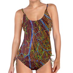 Neurobiology Tankini Set