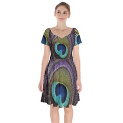 Peacock Feather Short Sleeve Bardot Dress