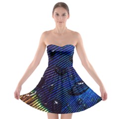 Peacock Feather Retina Mac Strapless Bra Top Dress by BangZart