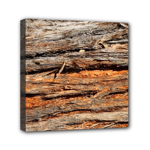 Natural Wood Texture Mini Canvas 6  X 6  by BangZart