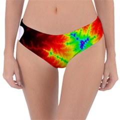 Misc Fractals Reversible Classic Bikini Bottoms