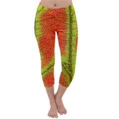 Nature Leaves Capri Winter Leggings  by BangZart