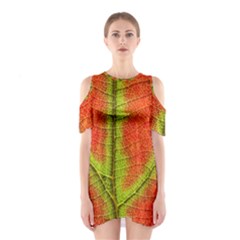 Nature Leaves Shoulder Cutout One Piece by BangZart