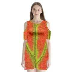 Nature Leaves Shoulder Cutout Velvet  One Piece by BangZart