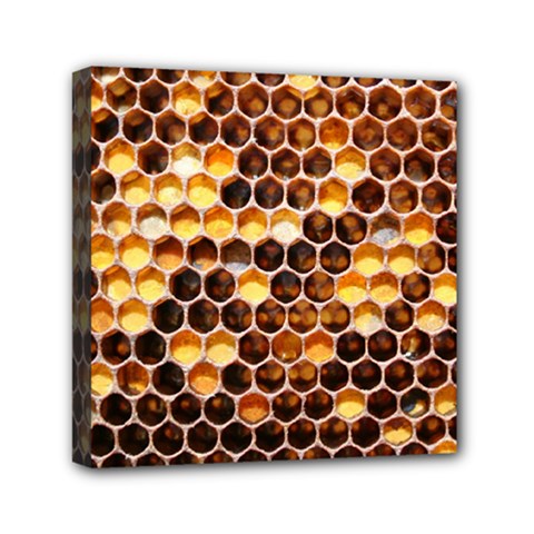 Honey Honeycomb Pattern Mini Canvas 6  X 6  by BangZart