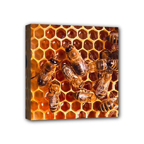 Honey Bees Mini Canvas 4  X 4  by BangZart