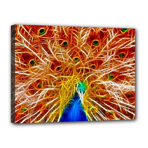 Fractal Peacock Art Canvas 16  X 12  by BangZart