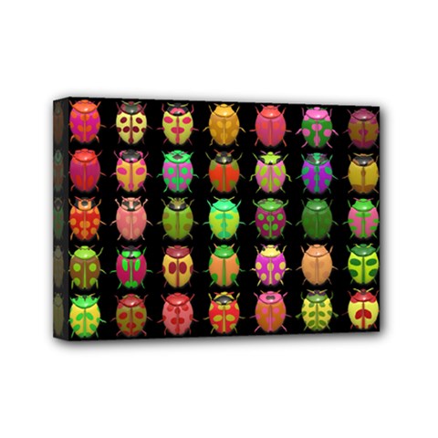 Beetles Insects Bugs Mini Canvas 7  X 5  by BangZart