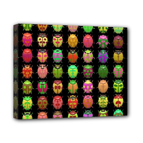 Beetles Insects Bugs Canvas 10  X 8  by BangZart