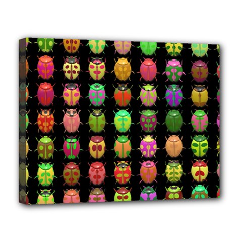 Beetles Insects Bugs Canvas 14  X 11  by BangZart