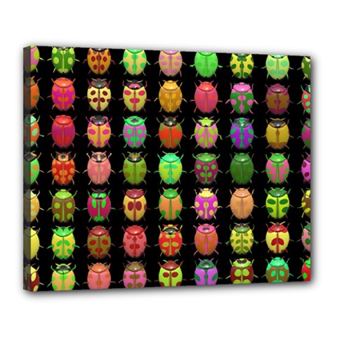 Beetles Insects Bugs Canvas 20  X 16  by BangZart