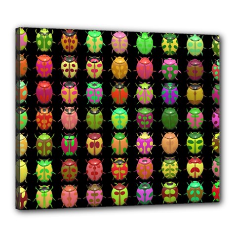 Beetles Insects Bugs Canvas 24  X 20  by BangZart