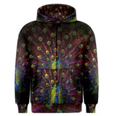 Beautiful Peacock Feather Men s Zipper Hoodie by BangZart