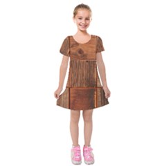 Barnwood Unfinished Kids  Short Sleeve Velvet Dress by BangZart