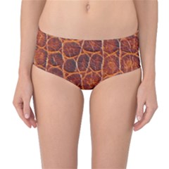 Crocodile Skin Texture Mid-waist Bikini Bottoms by BangZart