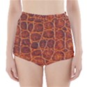 Crocodile Skin Texture High-Waisted Bikini Bottoms View1