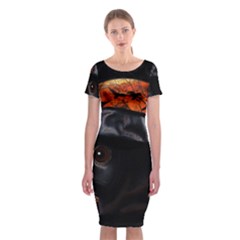 Bird-man  Classic Short Sleeve Midi Dress by Valentinaart