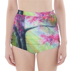 Forests Stunning Glimmer Paintings Sunlight Blooms Plants Love Seasons Traditional Art Flowers Sunsh High-waisted Bikini Bottoms by BangZart