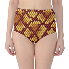 Snake Skin Pattern Vector High-waist Bikini Bottoms by BangZart