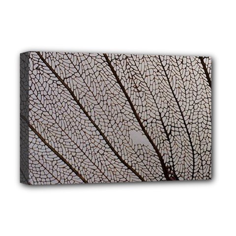 Sea Fan Coral Intricate Patterns Deluxe Canvas 18  X 12   by BangZart