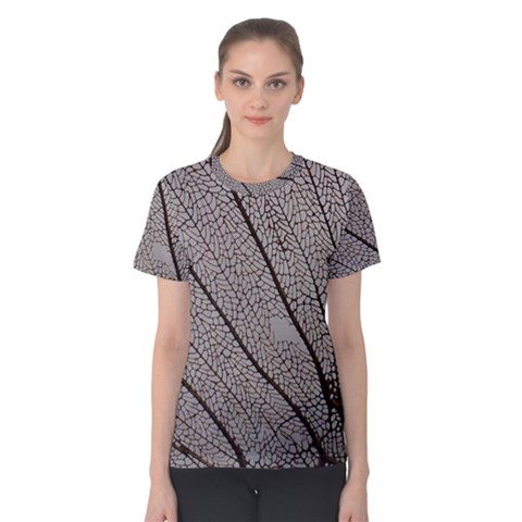 Sea Fan Coral Intricate Patterns Women s Cotton Tee by BangZart