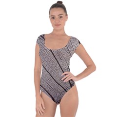 Sea Fan Coral Intricate Patterns Short Sleeve Leotard  by BangZart