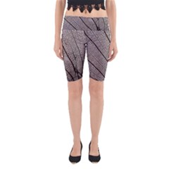 Sea Fan Coral Intricate Patterns Yoga Cropped Leggings by BangZart