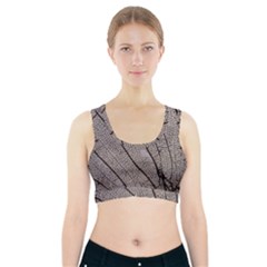 Sea Fan Coral Intricate Patterns Sports Bra With Pocket