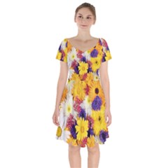 Colorful Flowers Pattern Short Sleeve Bardot Dress by BangZart