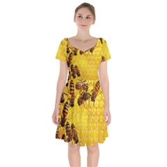 Honey Honeycomb Short Sleeve Bardot Dress